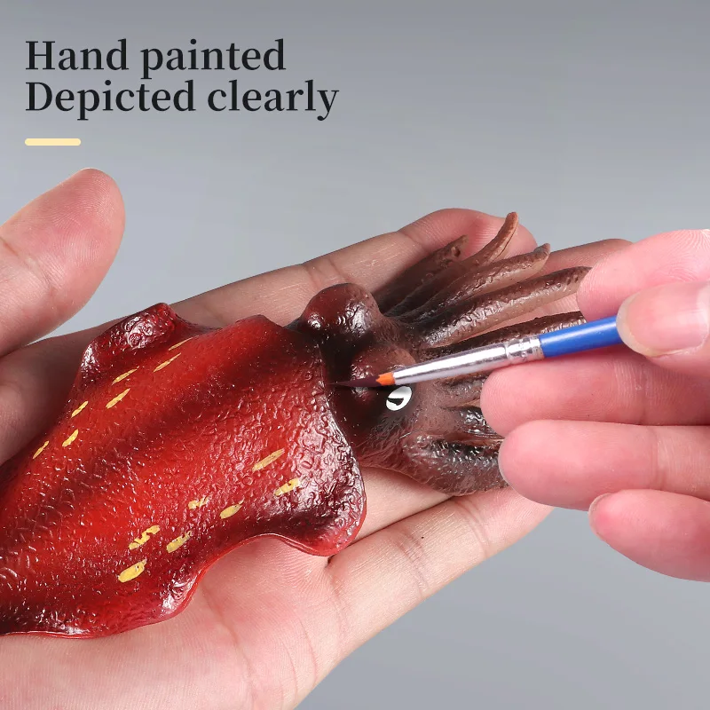 Educational Marine Molluscs ModelToys - Simulation Squid Octopus Growth Cycle Action Figure for Kids Sealife Animal Collection