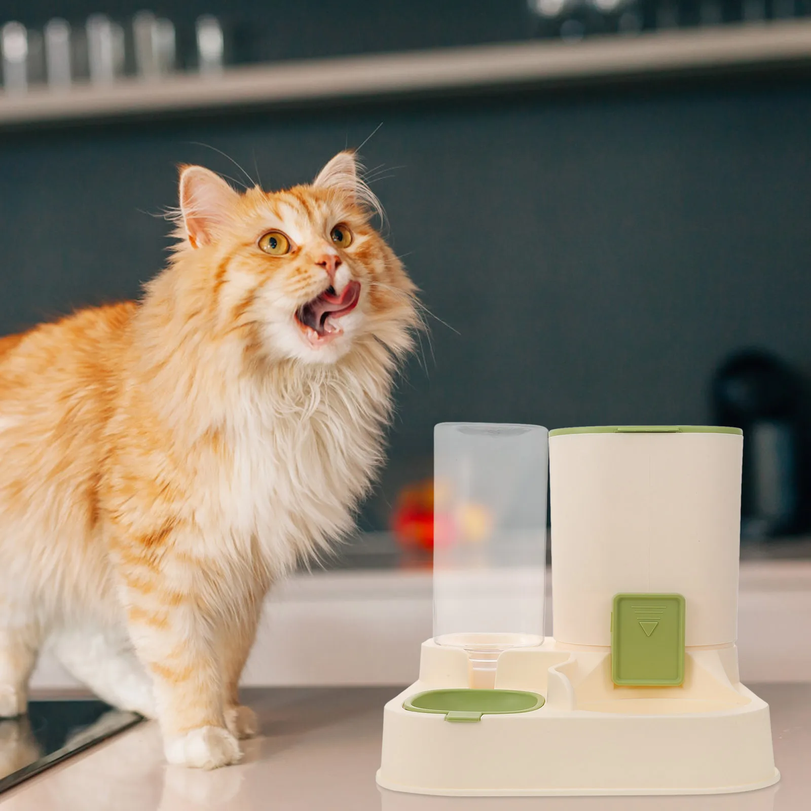 

Automatic Water Feeder Large Capacity Dry Wet Separation Pet Pp Anti Skid Detachable Transparent Bottle Dog Cat Food Bowl Small