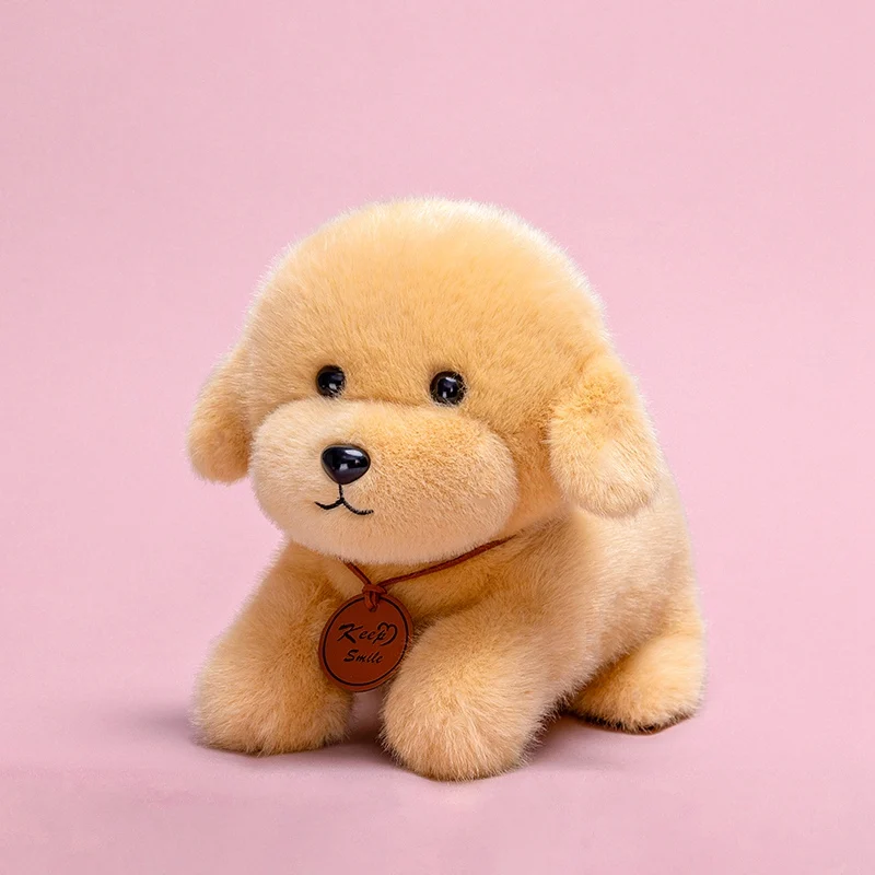 34 cm mignon léopard renard Capybara chat chien jouets en peluche dessin animé Kawaii doux poupées en peluche filles compagnon jouets en peluche oreiller de décoration intérieure