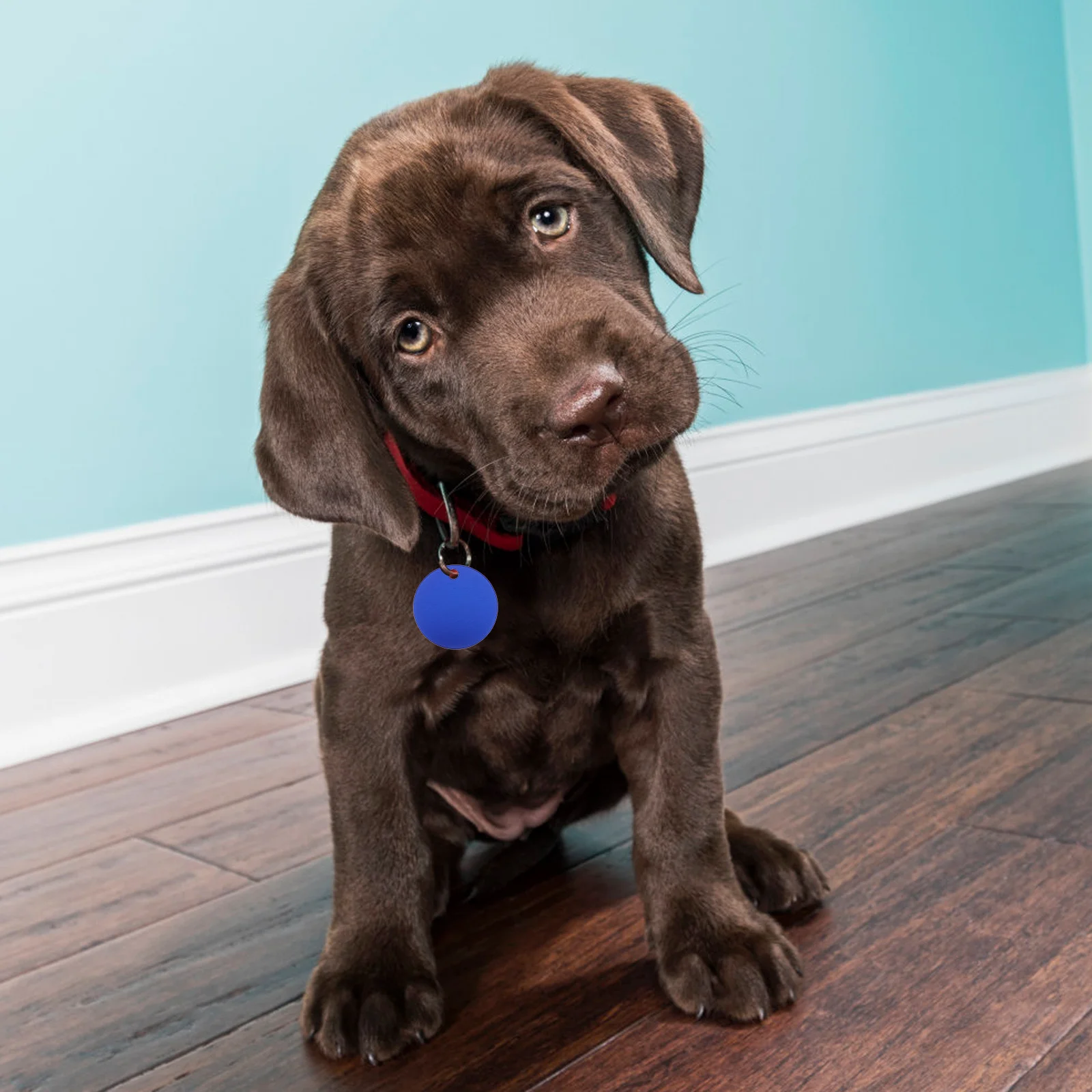 

25pcs 35mm Aluminum Round Blank Tags for DIY Engraving Cat Dog Pendants Jewelry Making Supplies Black Color Pet Labels