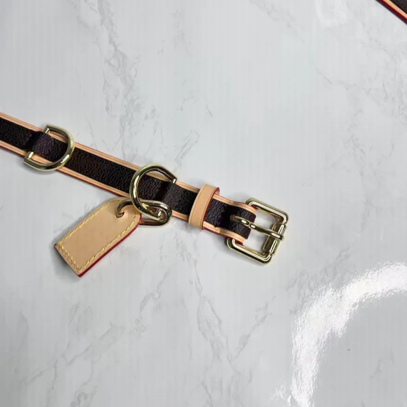 Thumbnail 3 - #63 Latest Retractable Puppy Leads Offers