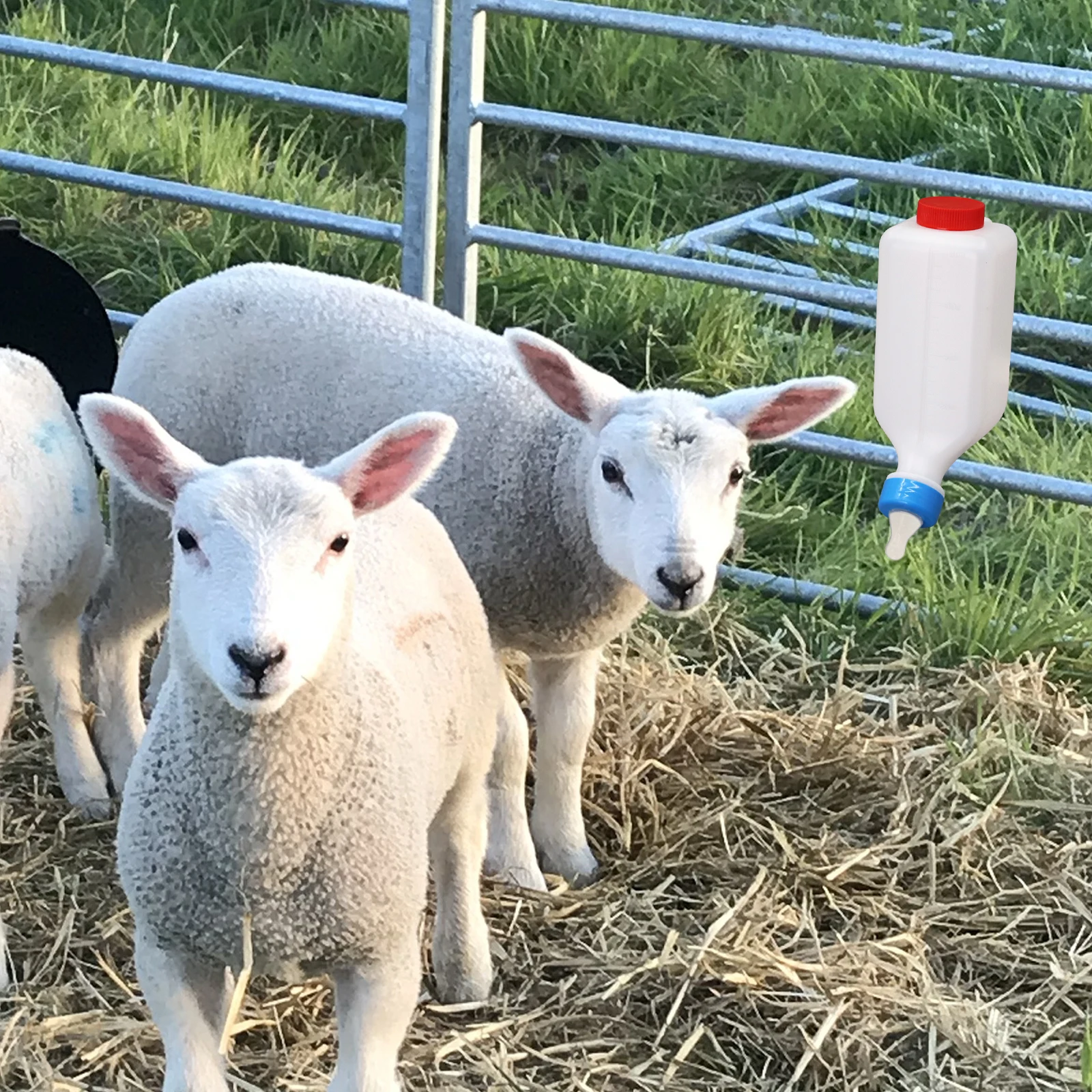 معلقة حلب الضأن تغذية 500 مللي/800 مللي سعة زجاجة الحليب مع الحلمة مصاصة لخنزير صغير الأغنام الماعز مزرعة الحيوانات شارب