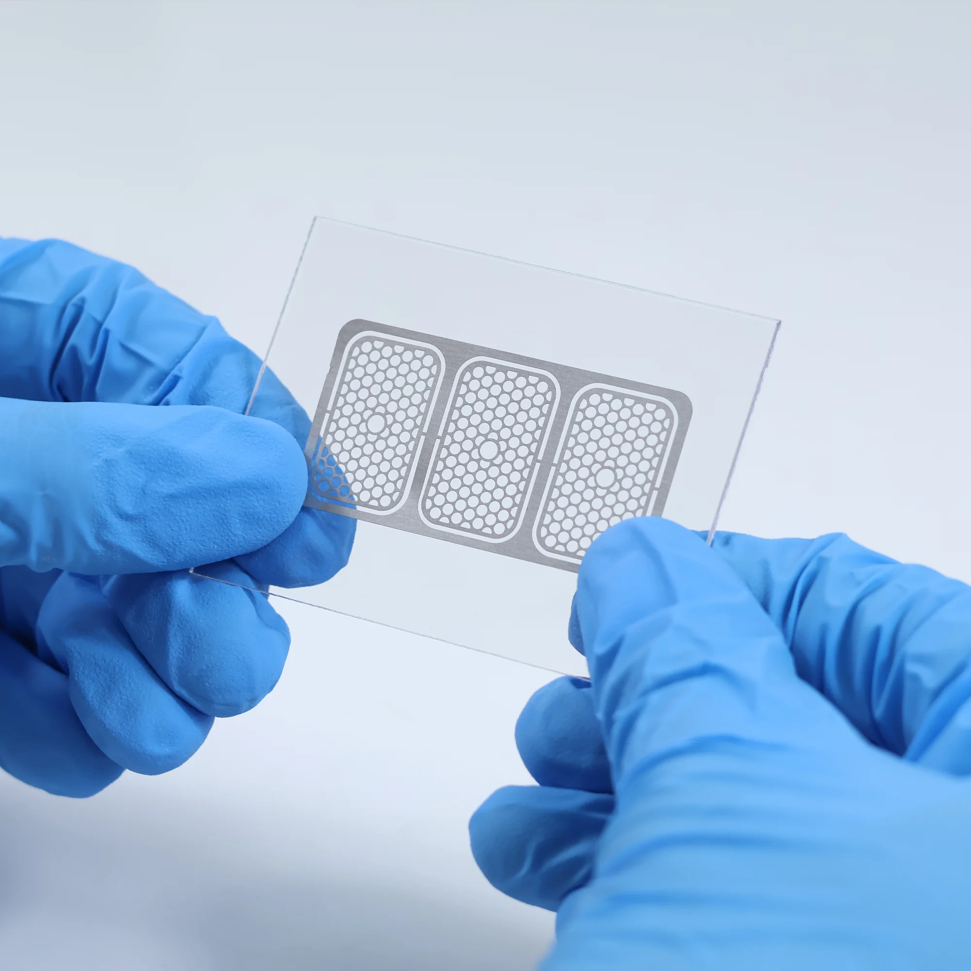 

Titanium Mesh GBR Flexible Bone Regeneration Barrier Dental Implant Membrane Barrier For Periodontal Reconstruction Materials