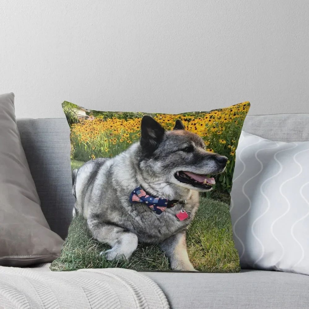 Norwegian Elkhound with Black-Eyed Susans Throw Pillow bed pillows Decorative Sofa Cushion Cushions pillow