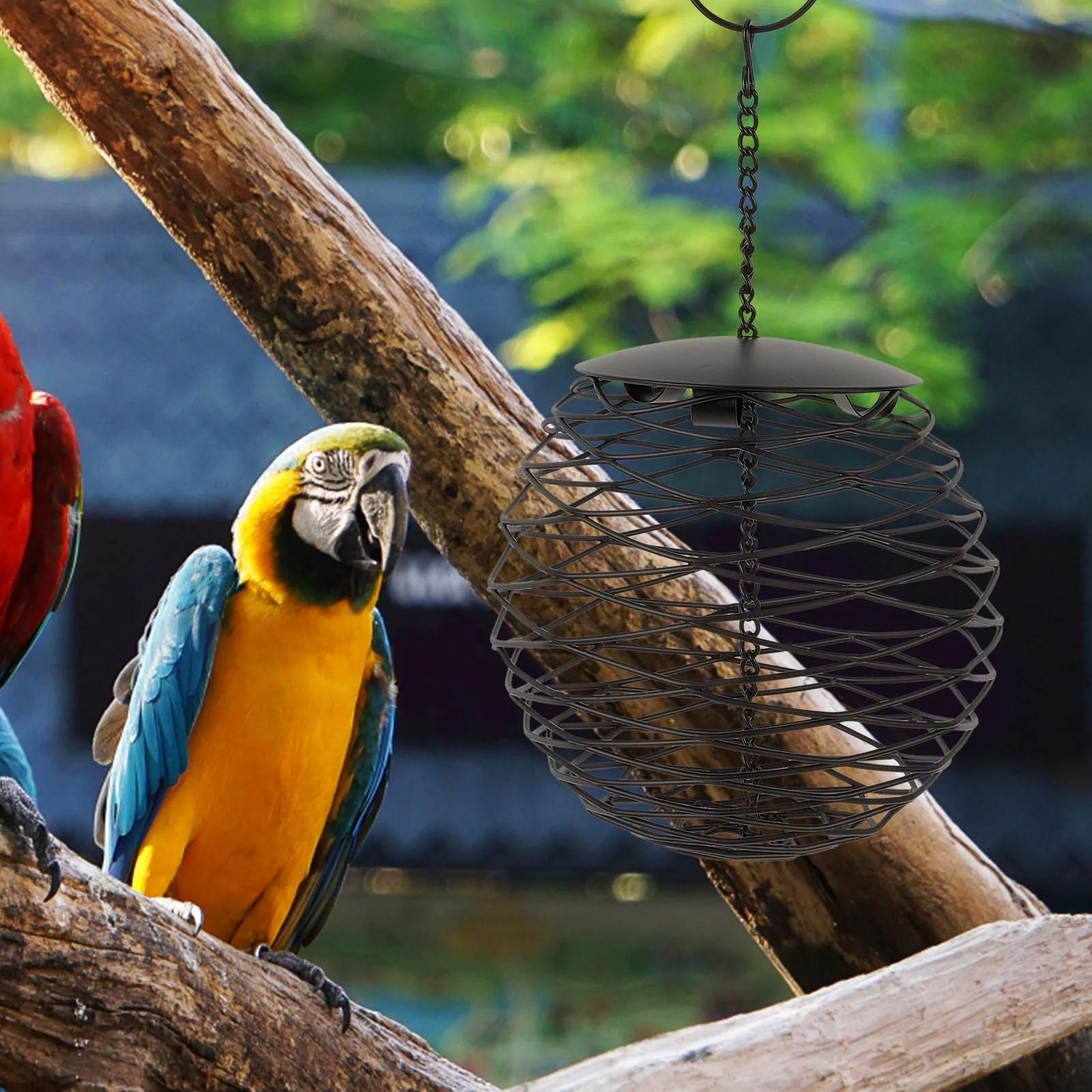 

Decorative Hanging Bird Feeder Exquisite Details Safe Material for Garden Yard Decor Bird Feeder Birds Feeding Tool