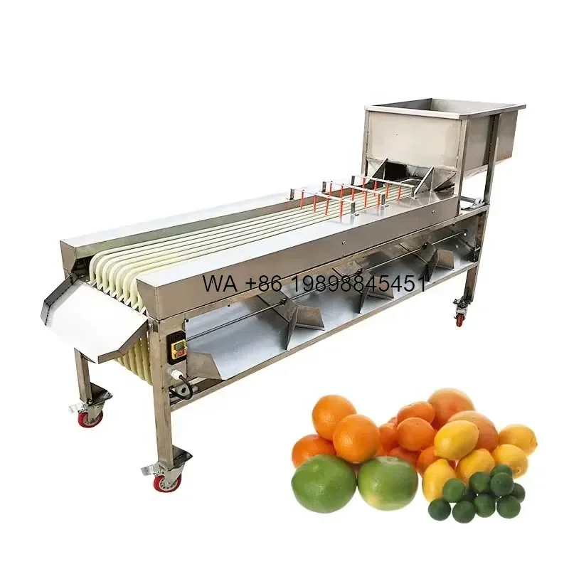 Wmwmnu Fruit and Vegetable Sorting and Grading Products Sizer Fruit Sorting and Grading