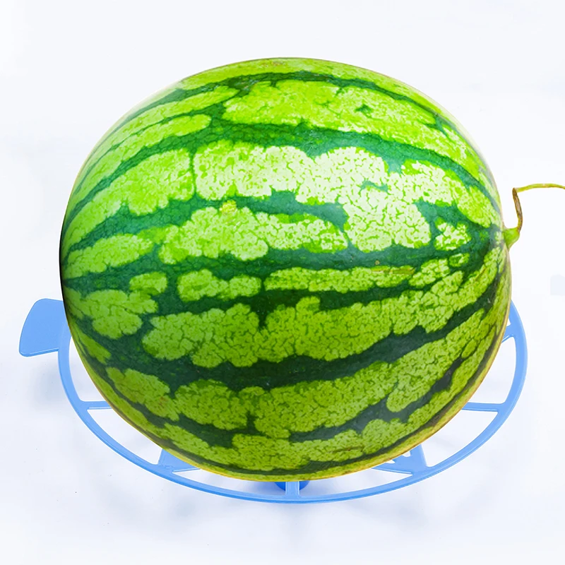 1PC Fruit Stand Support Basket Frame Vegetables Plant Tray Rack Melon Squash Pumpkin Protective Holder Watermelon Stand