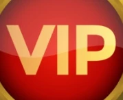 vip-customized-product-11