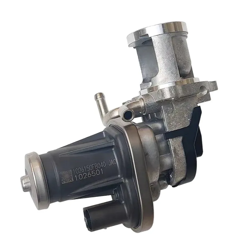 Valve De Circulatio…