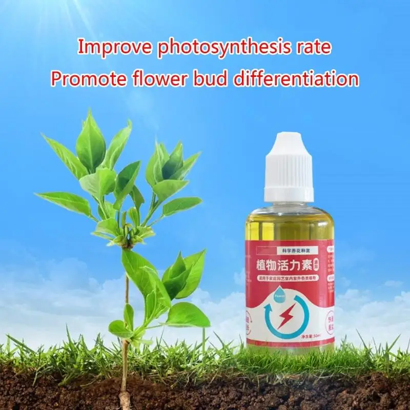R1WA Plant Growth Enhancer Hydroponic Nutrients Supplement Fertilizer Blend Vegetable