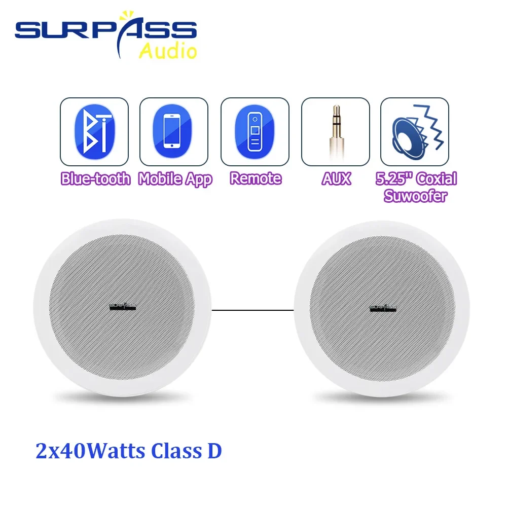 PA System 40W Ceiling Speaker Bluetooth-compatible  HiFi Stereo Sound Subwoofer Music Player Home Audio Built-in Class-D Speaker