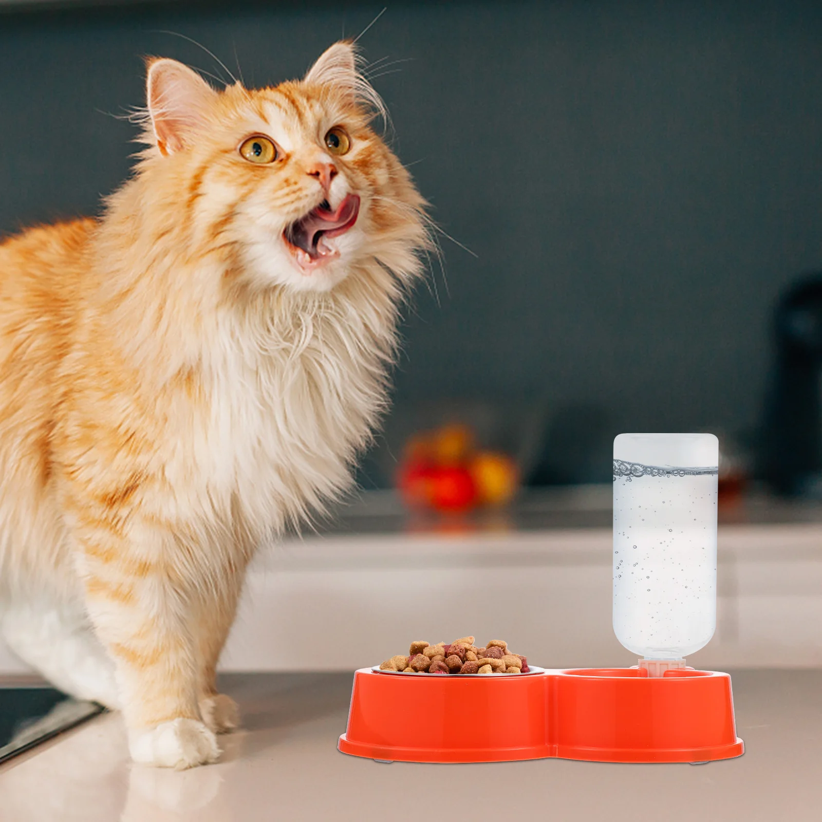 

Pet Water Dispenser Bowl Cat Food Case Automatic Dog Feeder ange Stable Anti Skid Design Break Proof Easy Clean Pet Supplies