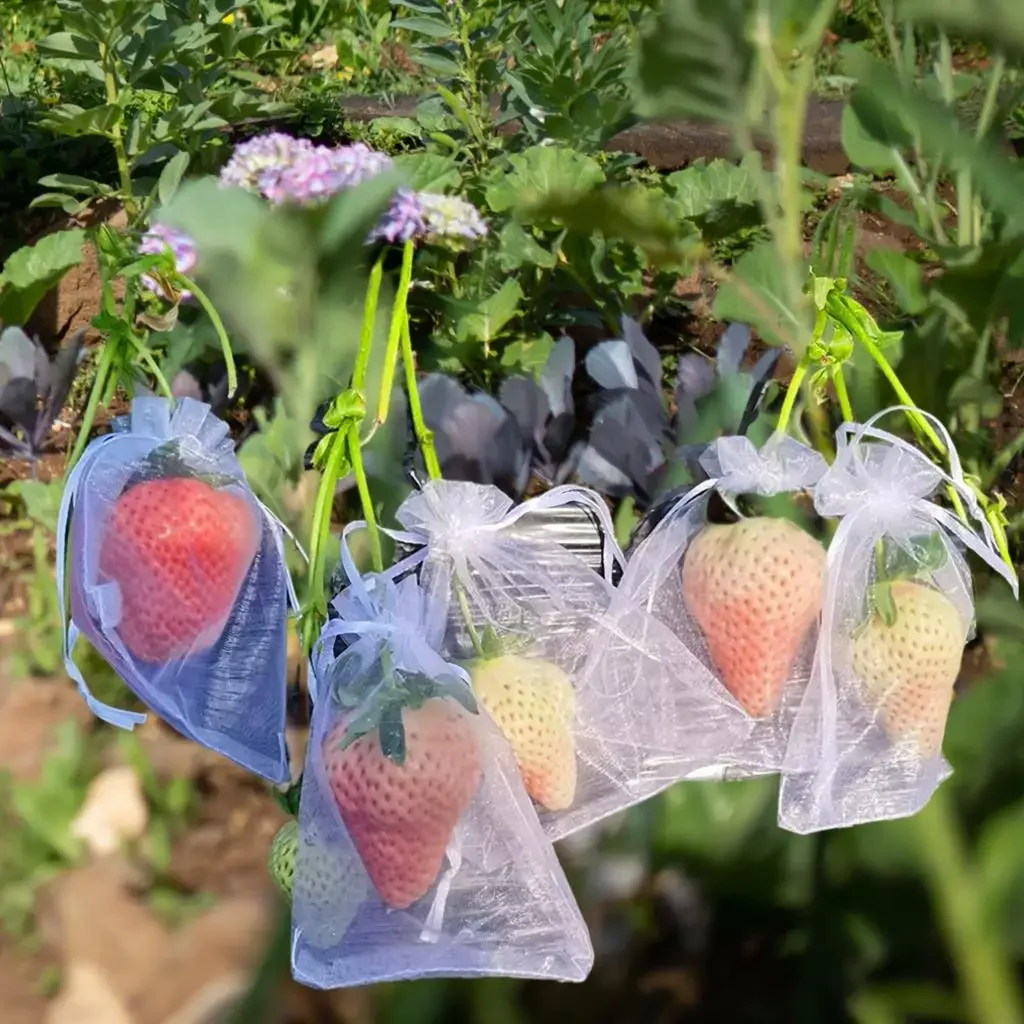100 pz uva fragola sacchetti di protezione della frutta sacchetto di rete con coulisse da giardino sacchetti di rete di verdure Anti-uccello per frutteto agricolo