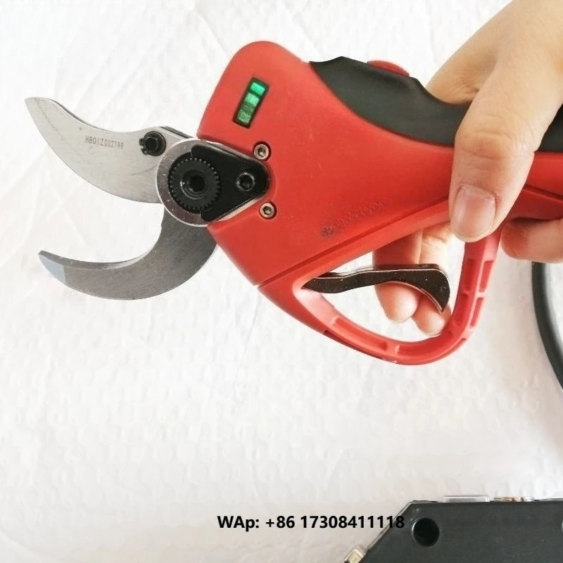 Professional Long Handle Large Cutting Diameter Lithium Ion Battery Pruning Shears High Trees Powerful Electronic Scissors