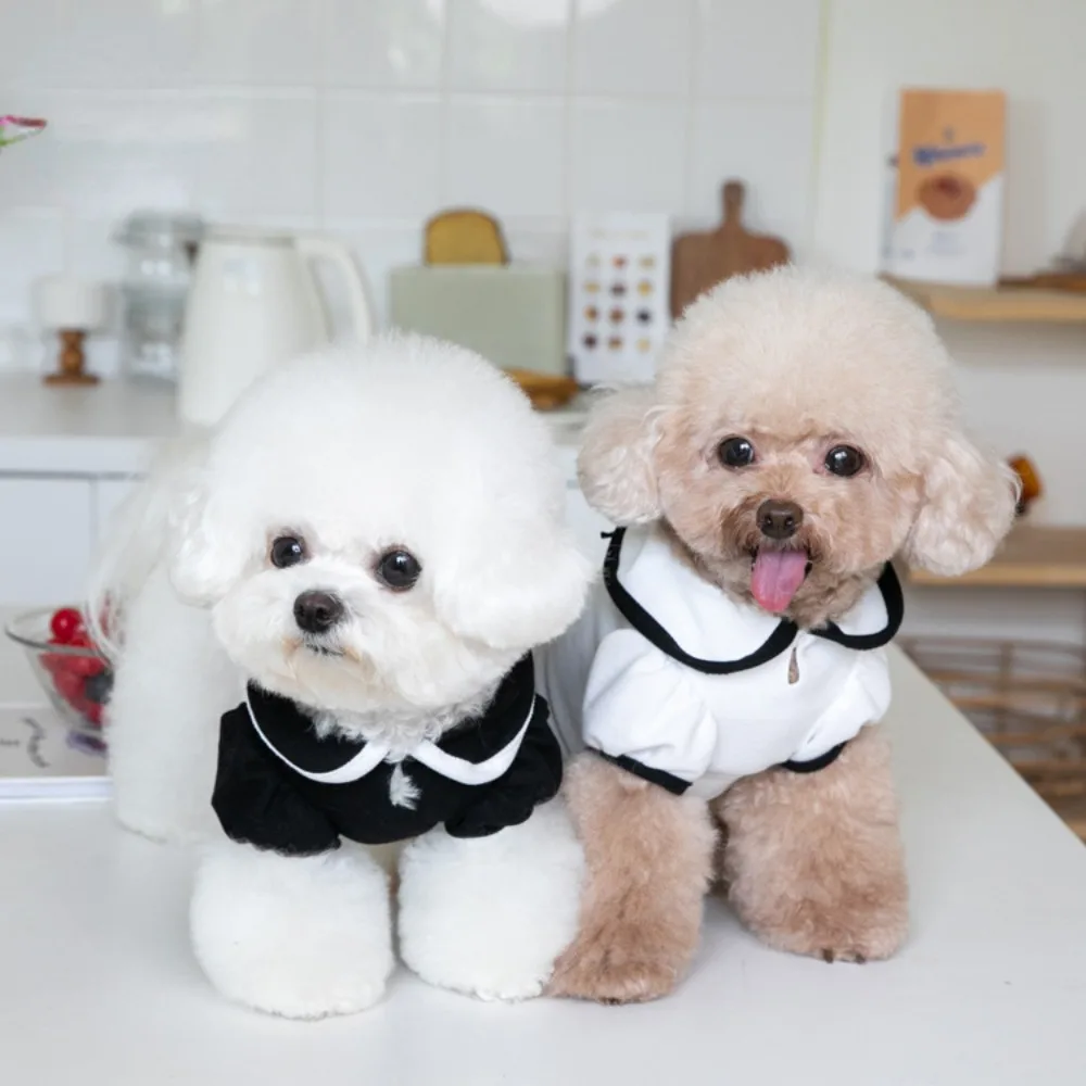 Pet Lapel Bottom Coat Dog Shirt Pet T-shirt Cat Dog Clothing Pet Clothing Teddy Clothing Pet Lining Top Puppy Clothes Dog Vest