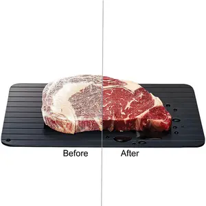 Bilashmart LMETJMA Fast Defrosting Tray Aluminium Alloy Thaw Food Defrosting Tray Frozen Meat Fish Food Tray With Brush Meat Tools KC0044