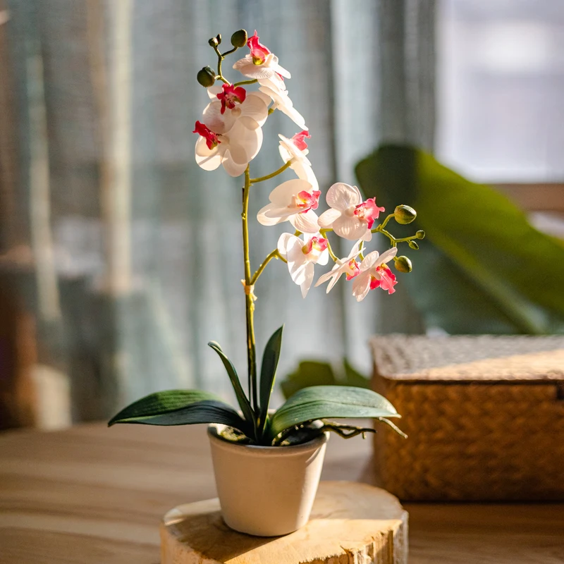 

Artificial Butterfly Orchids Fake Flowers Small Bonsai Home Living Room Tabletop Garden Outdoor Potted Decoration Accessories