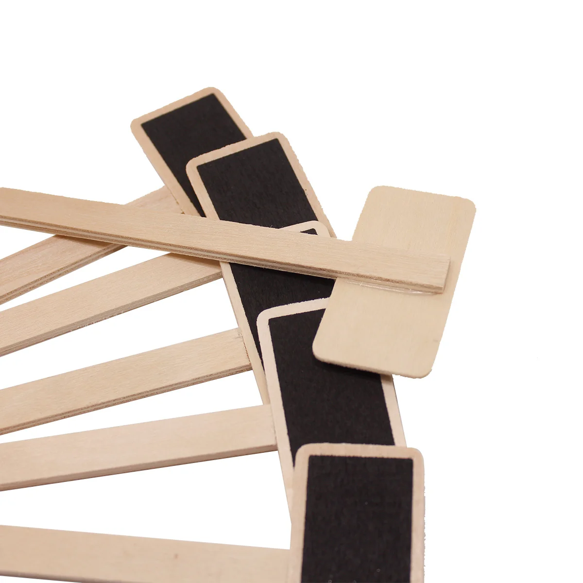 20 pezzi mini lavagna in legno piante grasse segni lavagna nera etichette ufficio