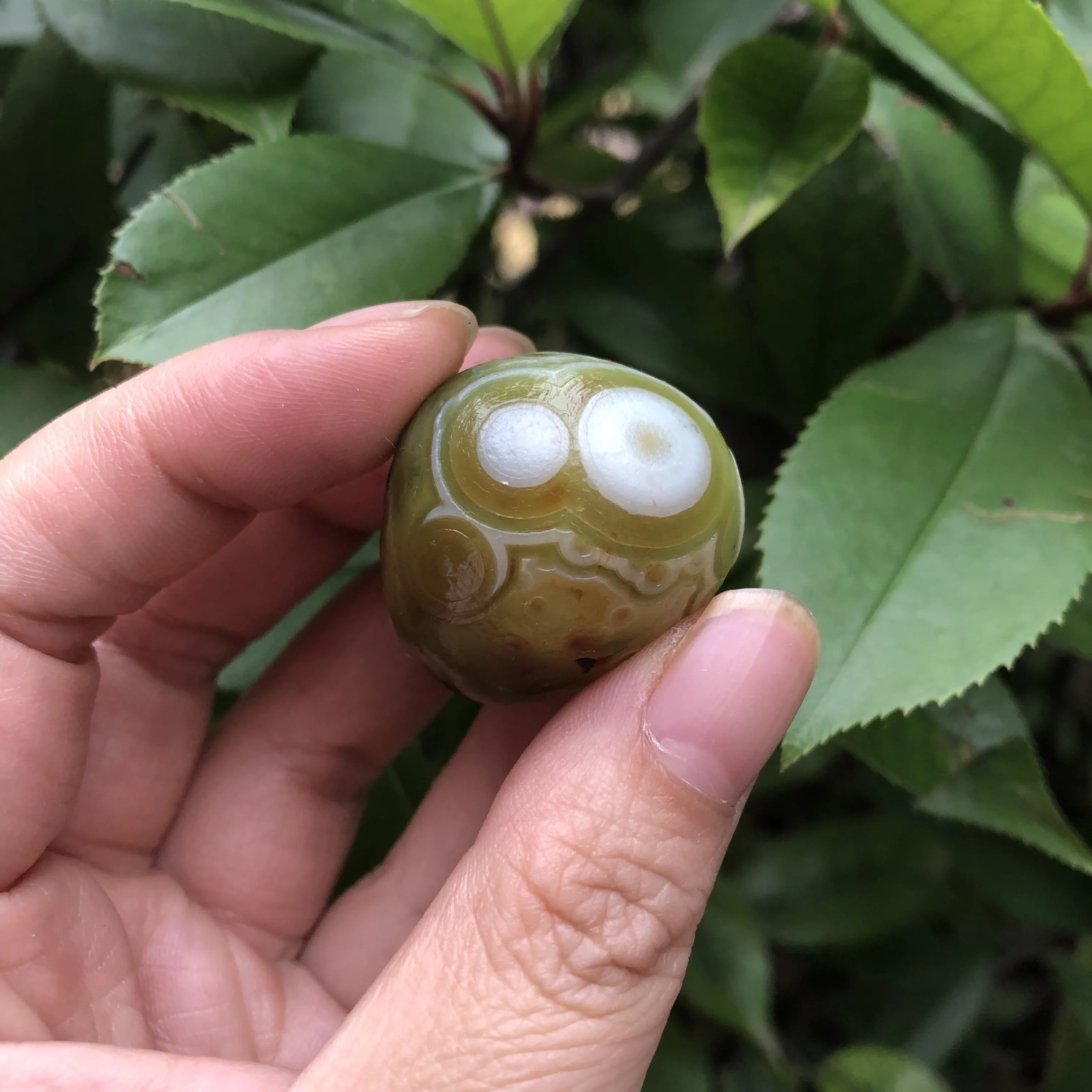 

​28G/30.1*24.3*28.9MM Natural Outer Mongolian Eye Stone Flower Eye Agate Relief Shallow Surface Green Gems About To Disappear