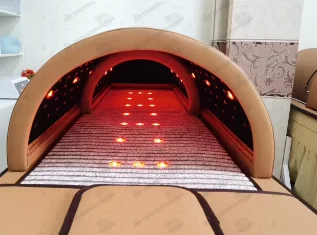 New Style  3 Zone Led Sauna Dome Sauna Pod for Detox and Weight Loss