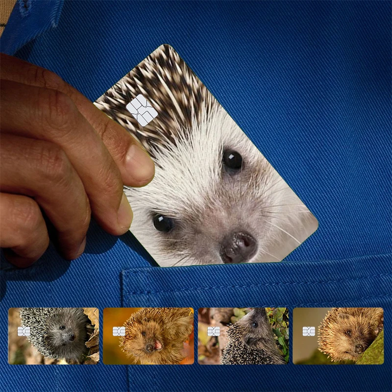 Animal cute hedgehog Cover Skin Sticker For Credit Card Bank Debit Bus Card Front Side