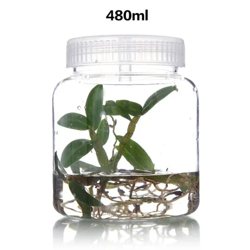 1pc 350mL 500mL Plants Plastic Jars For Bottle Seedling Tissue Culture Seedling High Temperature Resistance  No Deformation