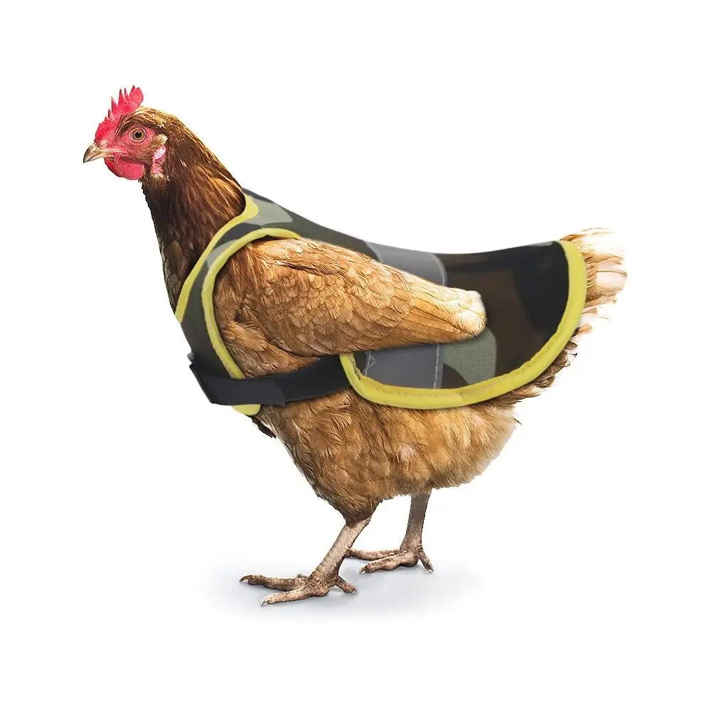 Hen Reflective Vest, Poultry Chicken Hen Saddle Apron Feather Protection Holder for Chicken Geese Duck