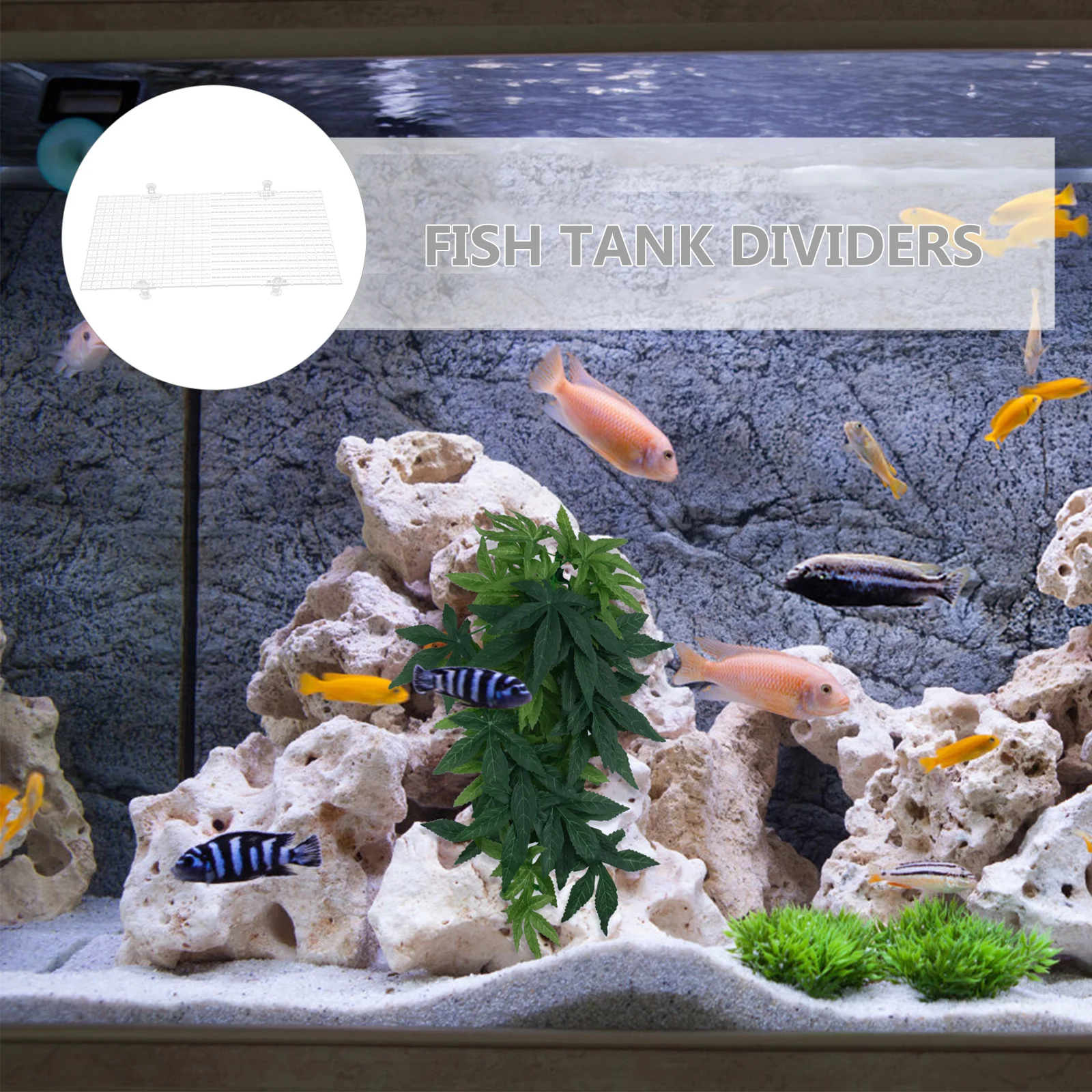 

2pcs Fish Tank Anti-Jump Plate Plastic Grid Divider For Aquarium Fish Separator Betta Tank Holder Suction Cups