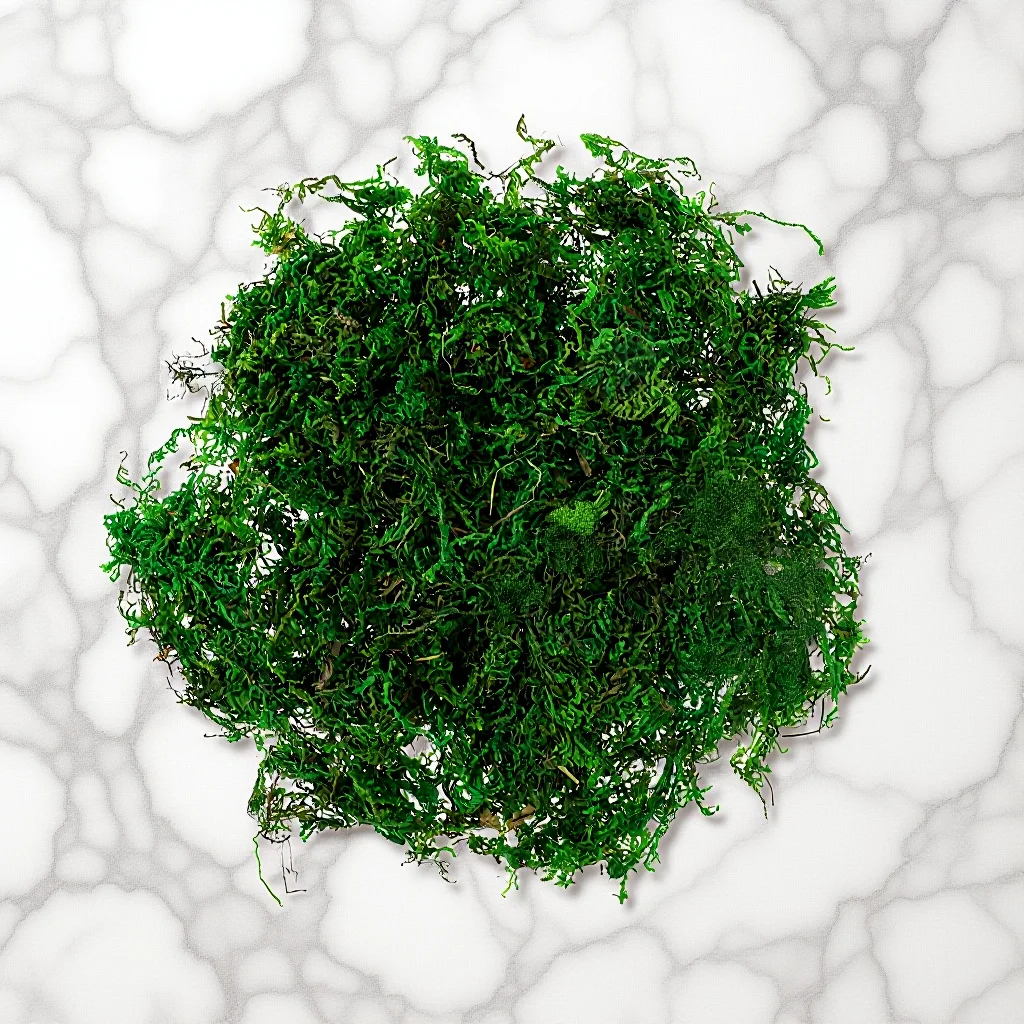 

20g Fake Green Moss for Potted Plants Artificial Terrarium Decor DIY Craft Grass Garden Home Room Decoration Eternal Life Mini