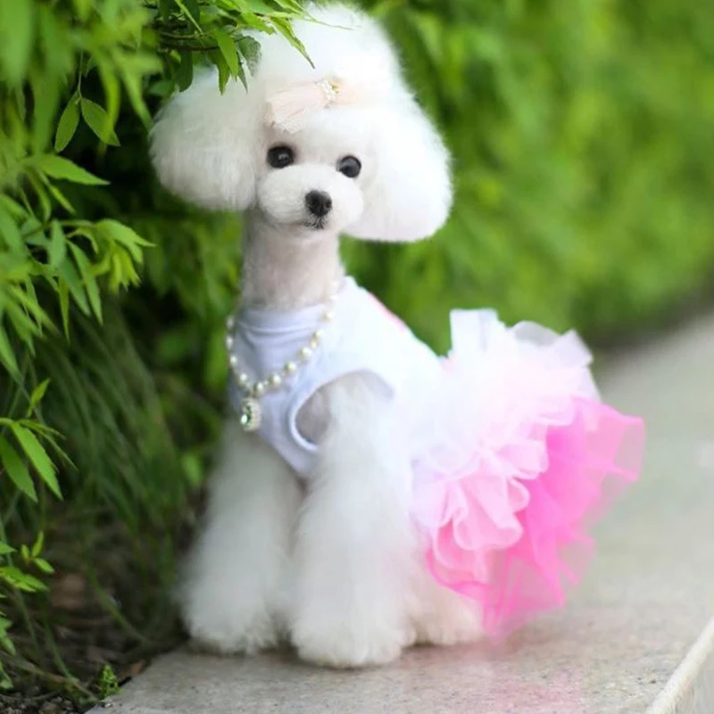 Sweet Lace Princess Dress For Small Dogs Cat Spring Summer Bow Mesh Puppy Dresses Fashion New Letter Pet Clothes