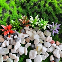 25pcs Mini Model Plants, 5 Colors Flowering Plants Railway Park Garden Scene Architecture Ornament Scenery Railroad Layout Scene