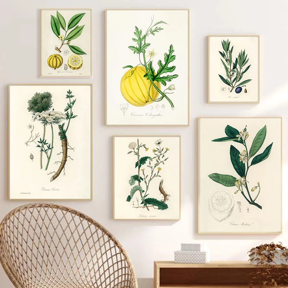 Fruits And Vegetables Vintage Botanical Illustration Poster Prints Canvas Painting Wall Art Pictures Home Living Room Decorat