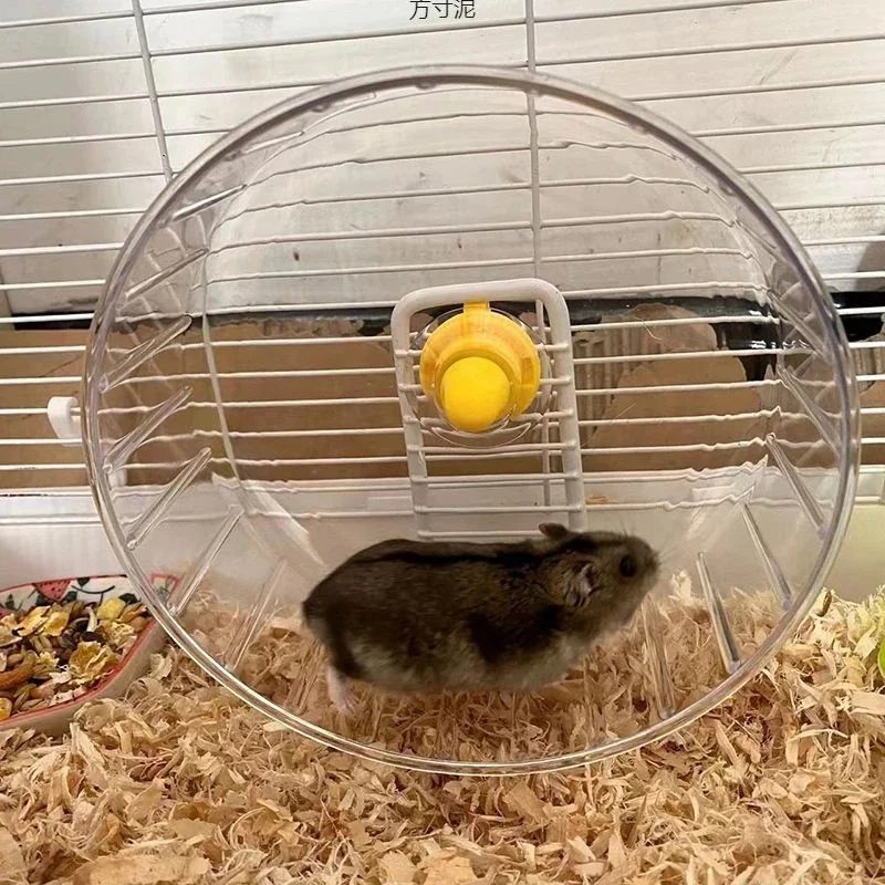 #53 Best Hamster Exercise Wheels to Buy In 2026