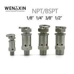 Sanitary Mini Spring Safety Valve 304 Stainless Steel 1/8'1/4' -1/2' BSPT NPT Male Thread 1-10 Bar Exhaust for Air Compressors