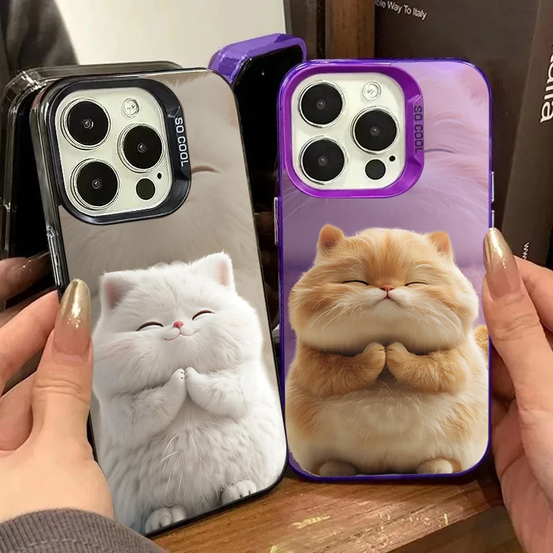 Cute Funny Fat Cat …