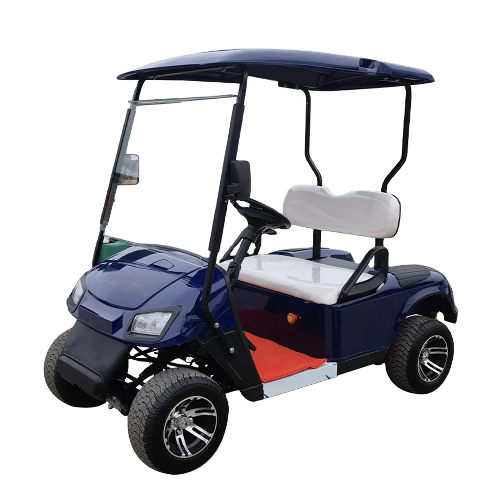 Electric Carts for 2-seater Sale Affordable Chinese Golf Features Buggy and Comfortable Seats Best Deal