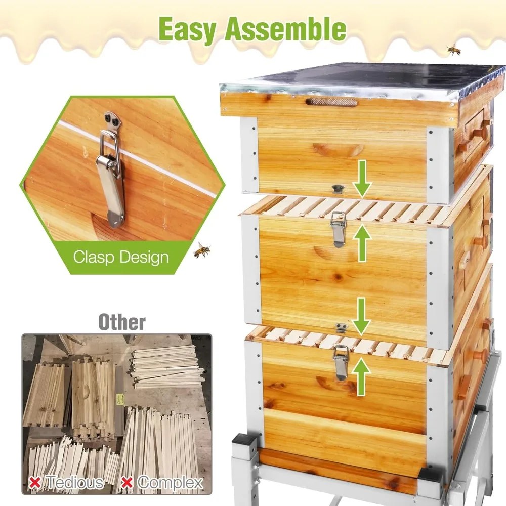 خلية النحل مع إطار معدني وحامل، خلية النحل ذات 10 إطارات مغموسة بشمع عسل 100%، خلية تدفق سهلة التجميع