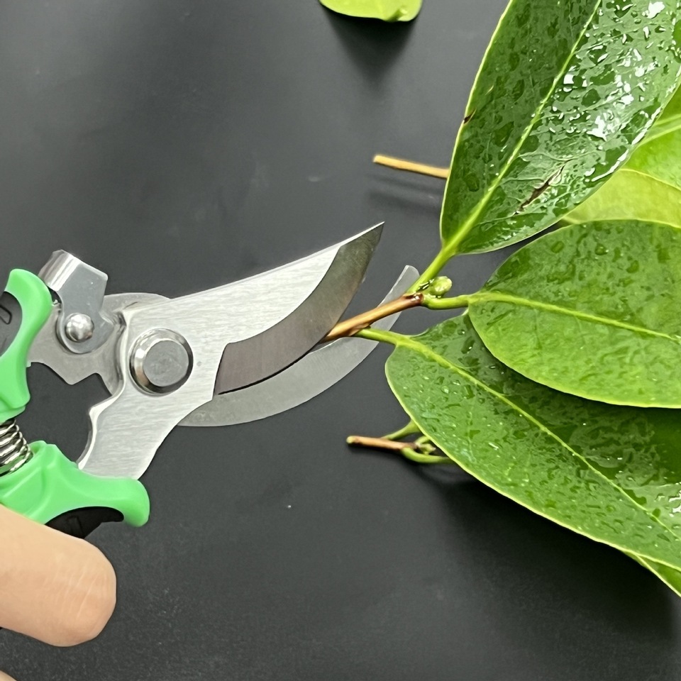  Horticultural Scissors Bird Beak Shape Branch Pruning Labor Saving Pruning Stainless Steel Picking Multifunctional Fruit Scissor 