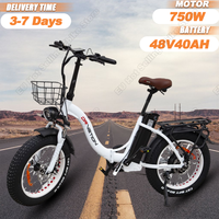 DRVETION CT20 EBike Folding 750W Motor 48v40Ah Lithium Battery Electric Bike Hydraulic Brake 20*4 Inch Fat Tire Electric Bicycle