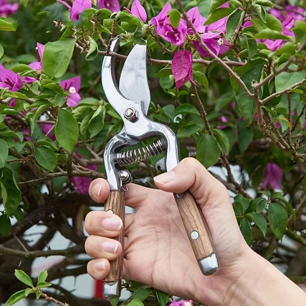 

1pc, Wooden Handle Pruning Shears, Fruit Branch Scissors, Elbow Shears, Garden Shears, Fruit Picking Shears 8.07inch/20.5cm