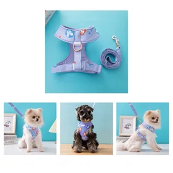 Disney 2023 Hot Sale Small and Medium Dog Harness Winter Dog Walking Accessories Outdoor Detachable Puppy Leash Dog Harness