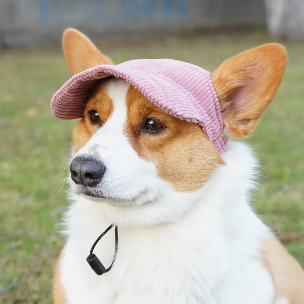 Casual Outfit Cat and Dog Hat Corduroy Pet Baseball Cap Sun Protection Outdoor Headwear