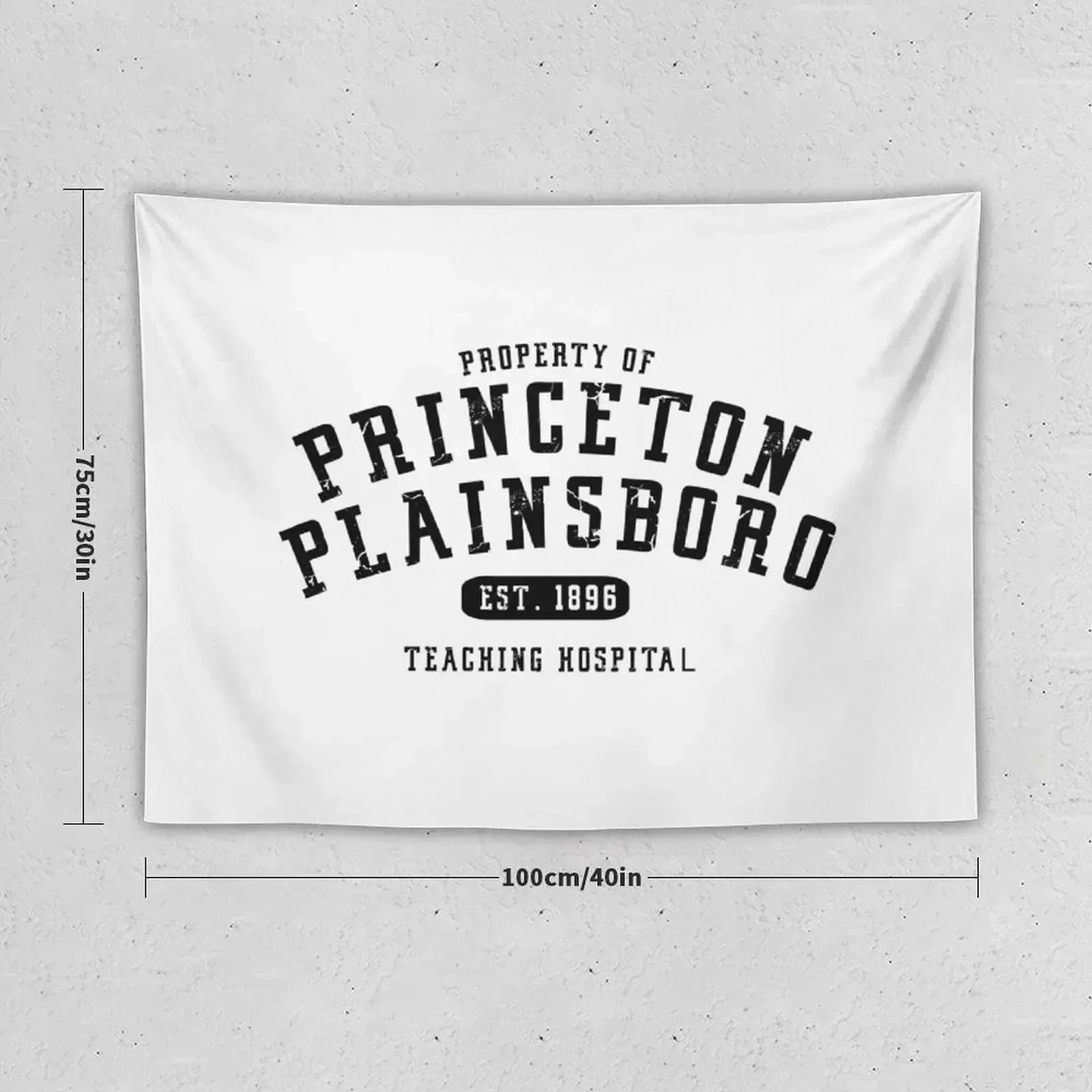 Property Of Princeton Plainsboro {House Md} Tapestry Room Decoration Accessories Carpet On The Wall Wall Hanging Tapestry