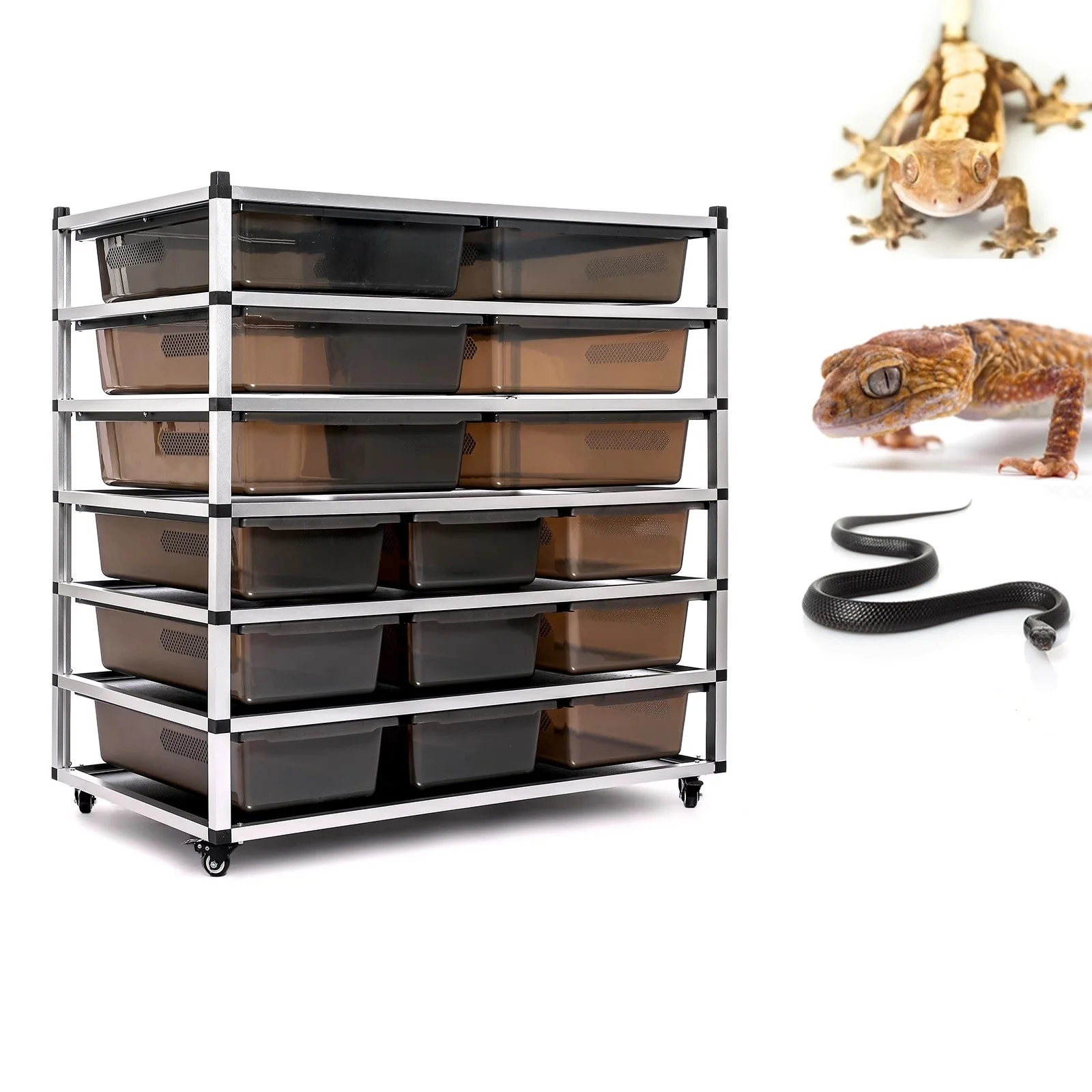 

System With Heat Rack Pvc Ball Breeding Enclosure Tank With Resistance Rgb Tube For Box Terrarium Big Python Snake Cage