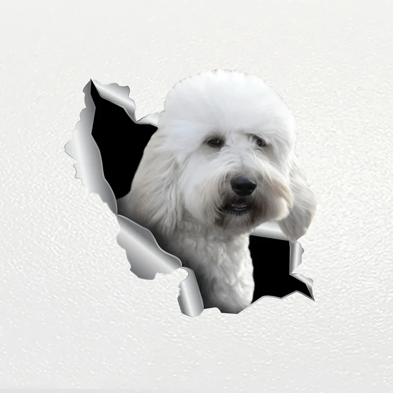 V1083# Car Sticker Goldendoodle Dog Pet Animal Waterproof Vinyl Decal Car Accessories Decor Pegatinas Para Coche