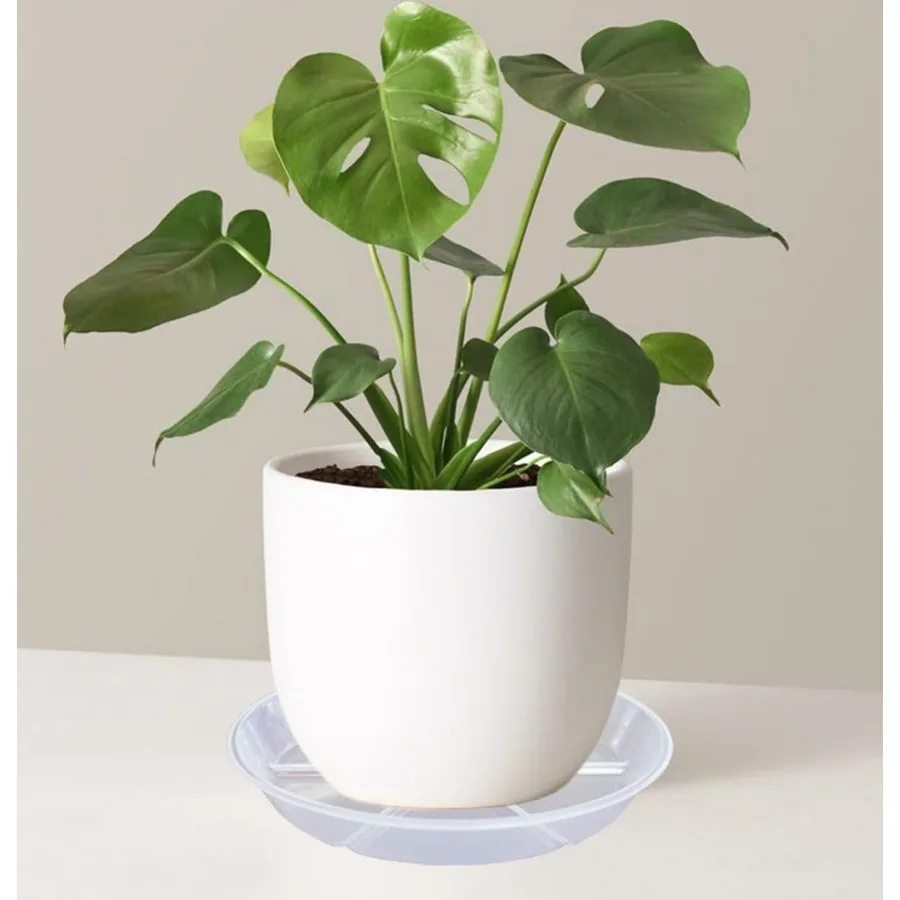 الصحن النباتي 4 6 8 10 12 بوصة 6 عبوات واضح زارع الصحون وعاء صواني دائم جولة البلاستيك زهرة النبات صينية تنقيط المياه ل Po #5