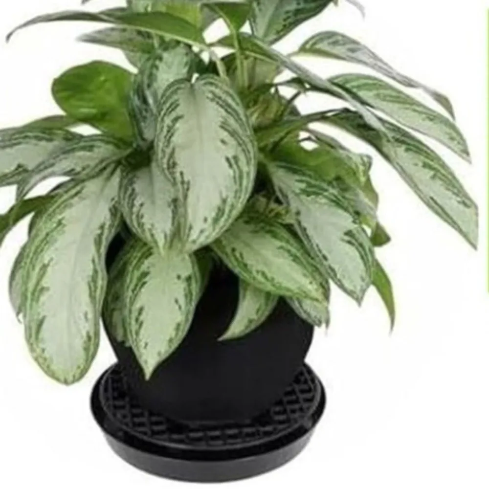 

Практичный дышащий самополивный поднос для растений, регулируемый многоразовый коврик для цветочного горшка, сетчатые отверстия, мешки для выращивания растений в помещении