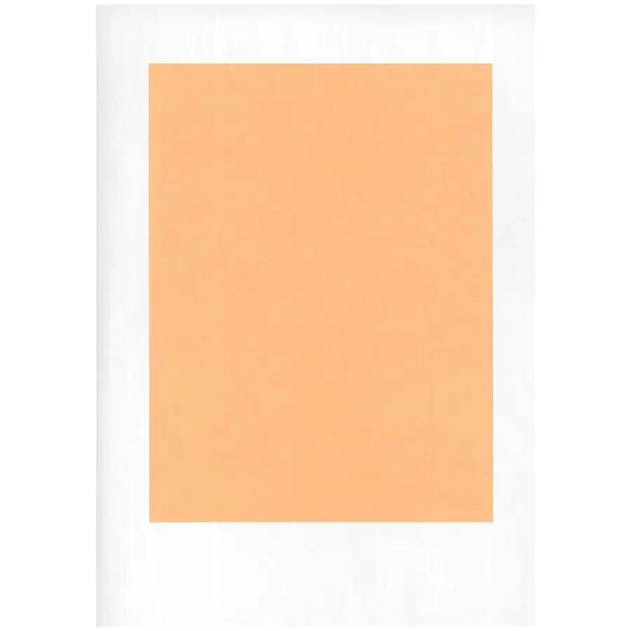

Peach Steak BBQ Paper 1,000 Sheets per case McN 002187