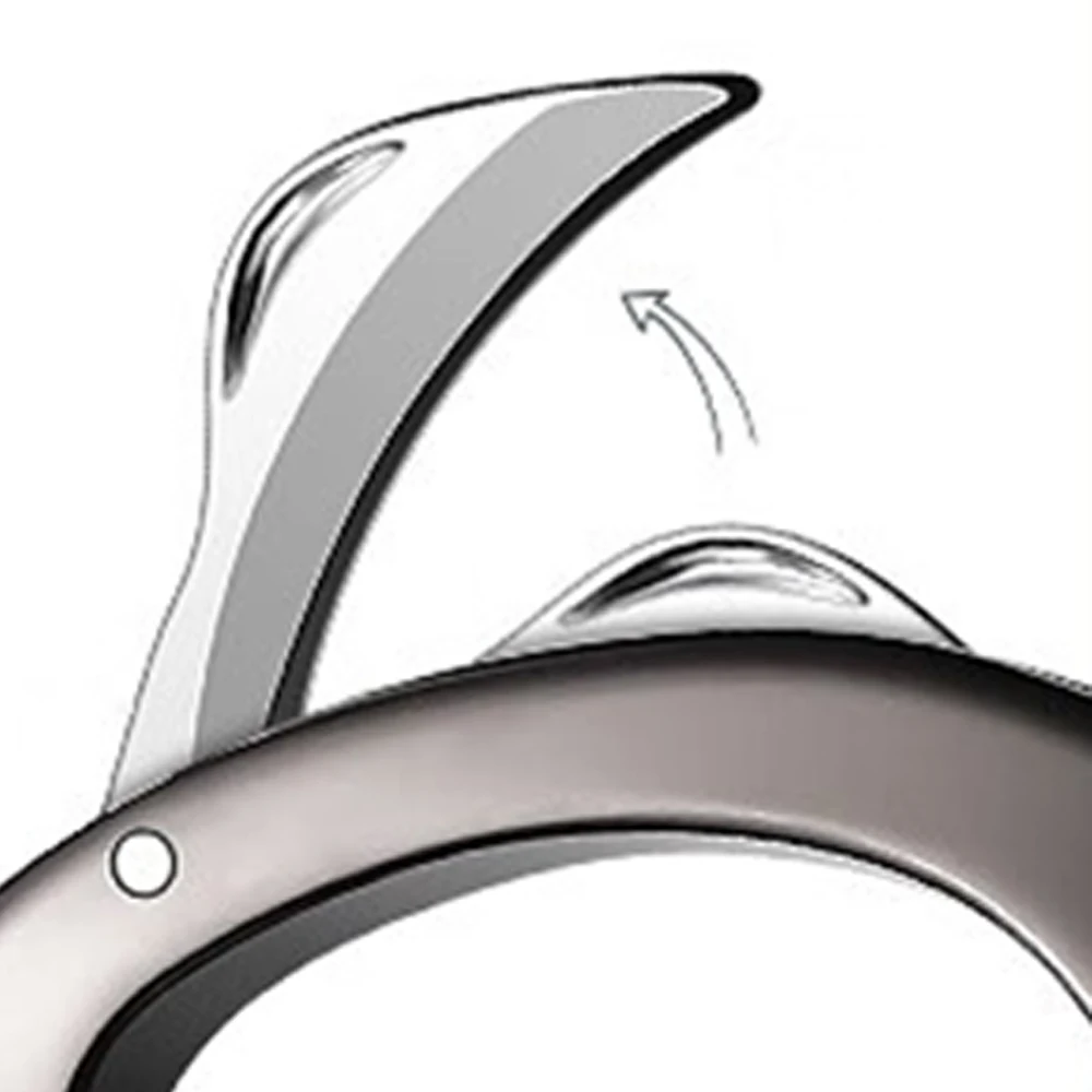 JanIris Key rings, 2 pcs Metal Keyring Key Chain Key Ring KeyChains Clip Key Chain Organizer for Home, Car, Key Finder