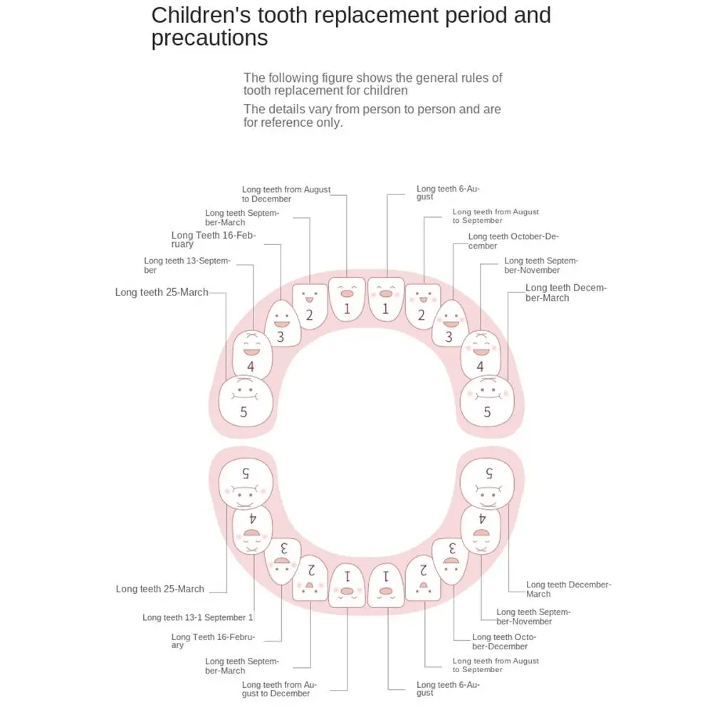 幼児用お土産ケース-記念品-誕生日やシャワーギフト用歯コレクションケース-歯容器-歯収納ボックス-赤ちゃんの歯箱